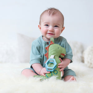 Link & Love™ Dino Activity Plush with Teether Toy